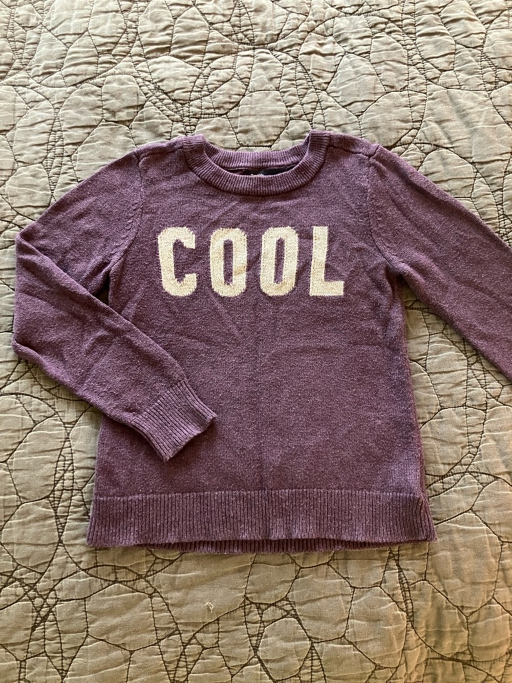 GAP Purple 'COOL' Crewneck Sweater